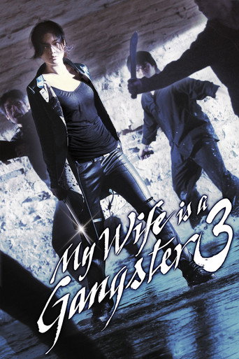 Poster of My Wife Is a Gangster 3