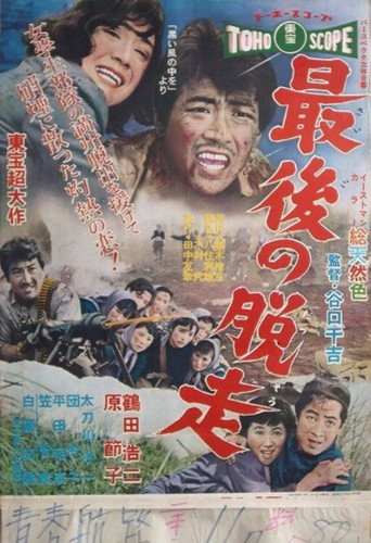 Poster of The Last Escape