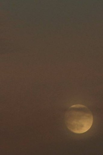 Poster of Two Moons