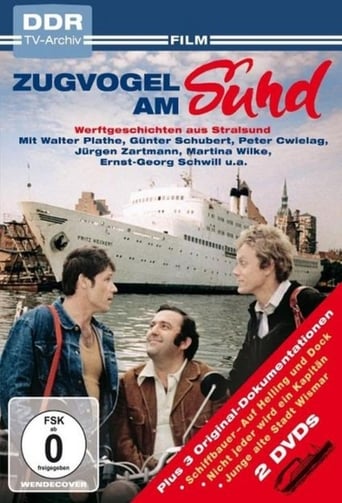 Poster of Zugvogel am Sund