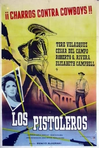 Poster of The gunslingers