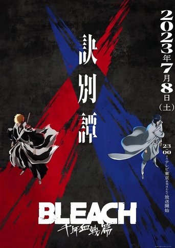 Portrait for Bleach: Thousand-Year Blood War - Bleach: Thousand-Year Blood War – Cour 2: The Separation