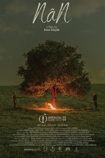 Poster of NâN