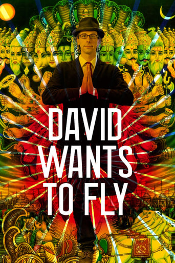 Poster of David Wants to Fly