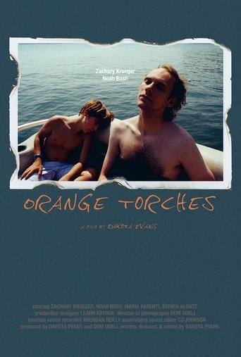 Poster of Orange Torches