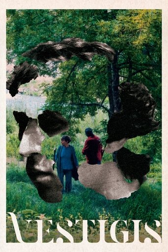 Vestigis Poster of Vestigis