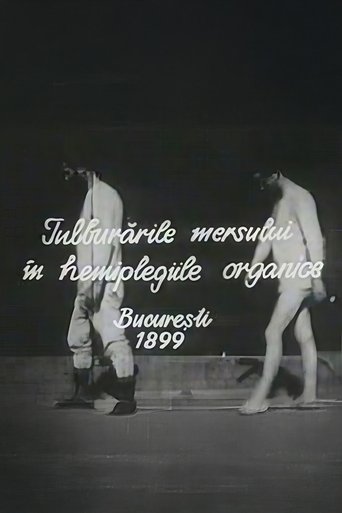 Poster of Walking Troubles of Organic Hemiplegy