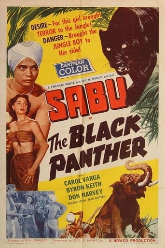 Poster of The Black Panther