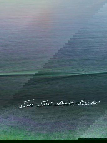 Poster of In The Only Ocean
