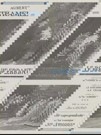 Poster of Le Bouif errant