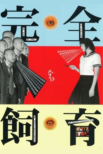 Poster of The Perfect Education