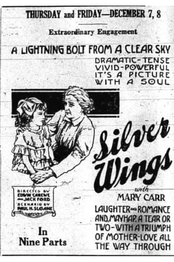 Poster of Silver Wings