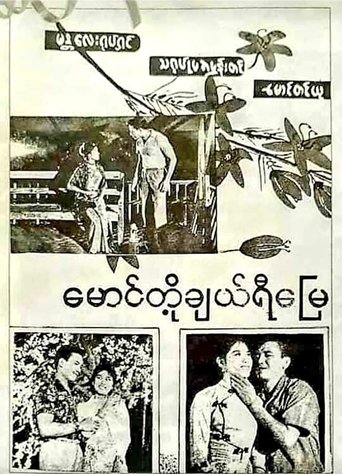 Poster of Our Cherry Land