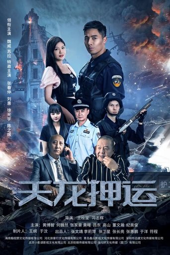 Poster of 天龙押运