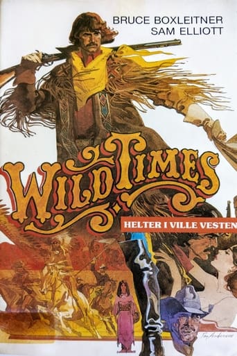 Poster of Wild Times