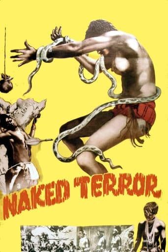 Poster of Naked Terror