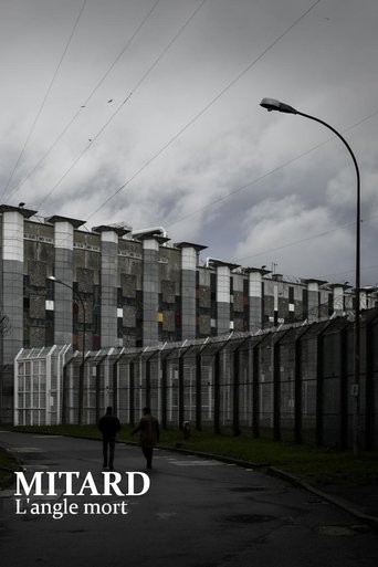 Poster of Deaths in Solitary Confinement: The Prison System's Blind Spot