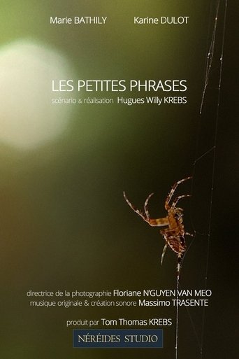 Poster of Les petites phrases