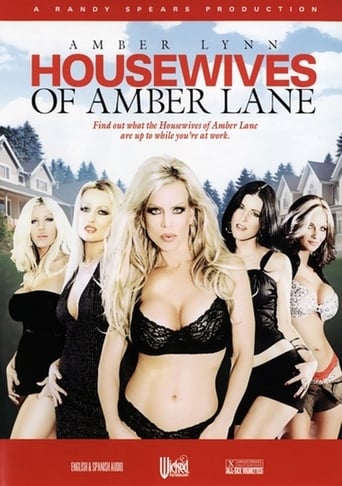 Poster of Housewives of Amber Lane