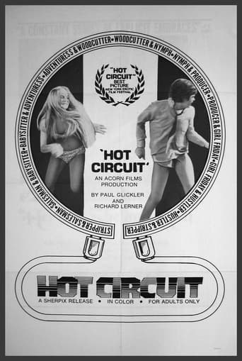 Poster of Hot Circuit