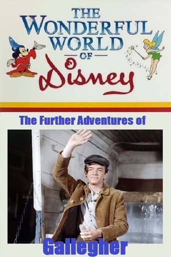 Poster of The Further Adventures of Gallegher