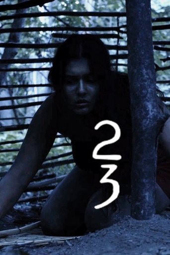 23 Poster of 23