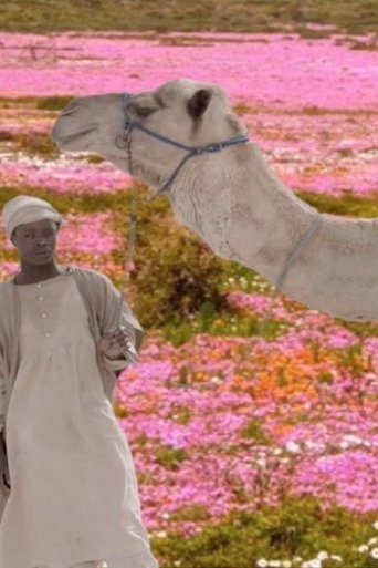 Poster of The Future Was Desert