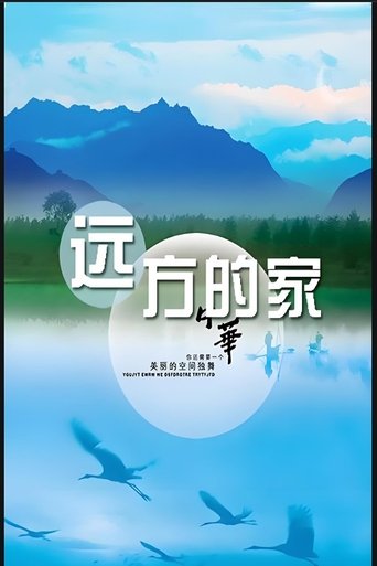 Poster of 远方的家