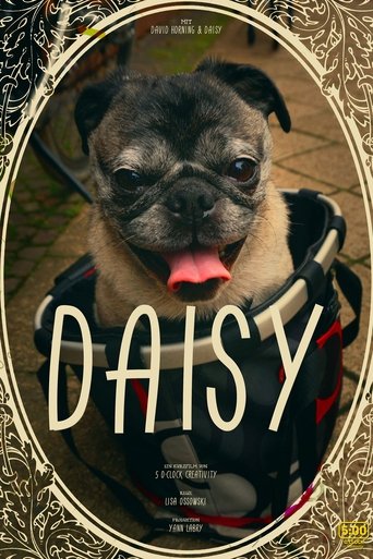 Daisy Poster of Daisy