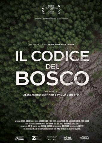 Il codice del bosco Poster of Il codice del bosco
