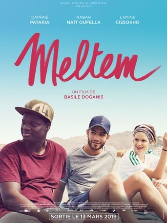 Poster of Meltem