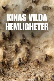 Poster of China's Wild Secrets