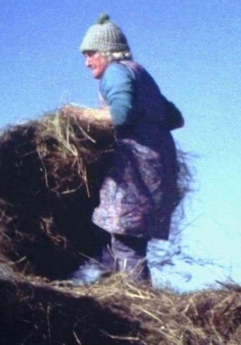 Poster of Land Makar
