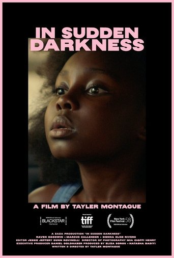 Poster of In Sudden Darkness