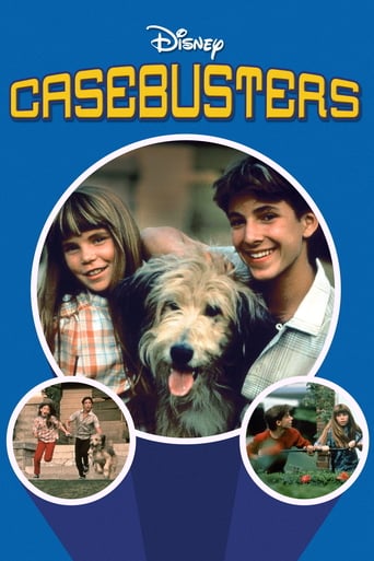 Poster of Casebusters