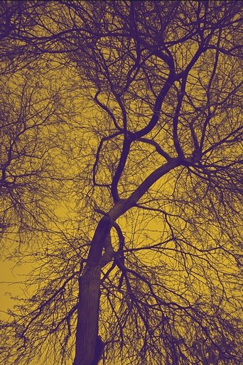 Poster of Darkness above and below, laying on the bliss