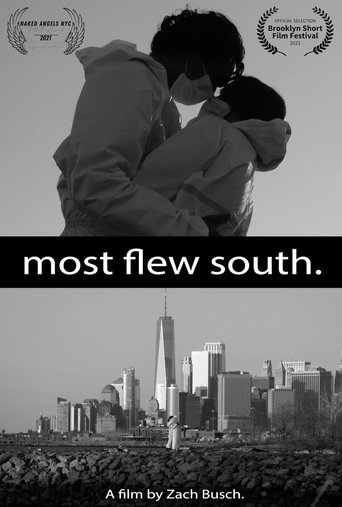 Most Flew South Poster of Most Flew South