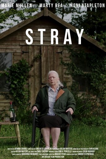 Stray Poster of Stray