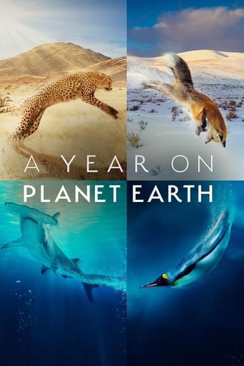 Poster of A Year on Planet Earth