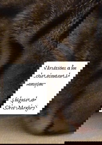 Poster of Variations of a cat listening to music (Chris Marker plagiarism)
