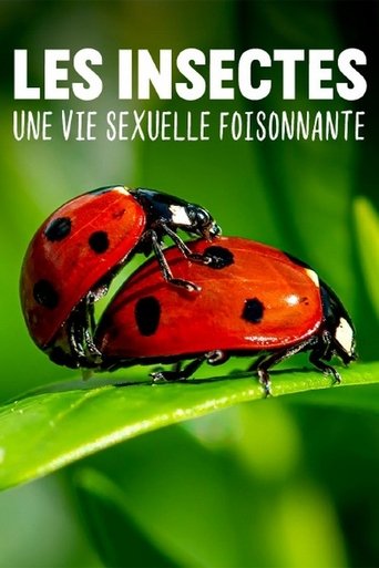 Poster of Les insectes, une vie sexuelle foisonnante