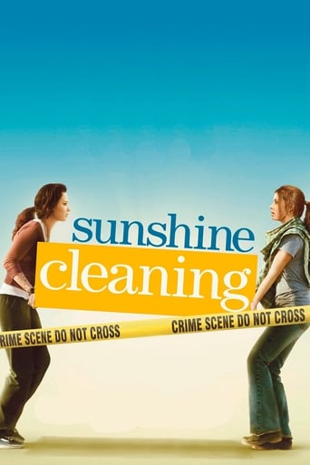 Poster of Sunshine Cleaning