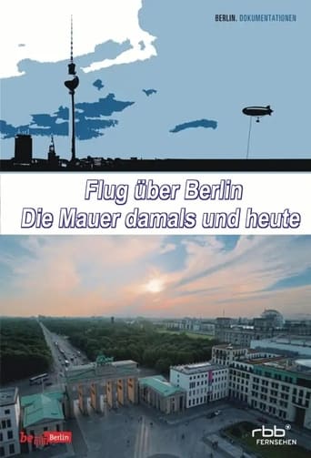 Poster of Flug über Berlin