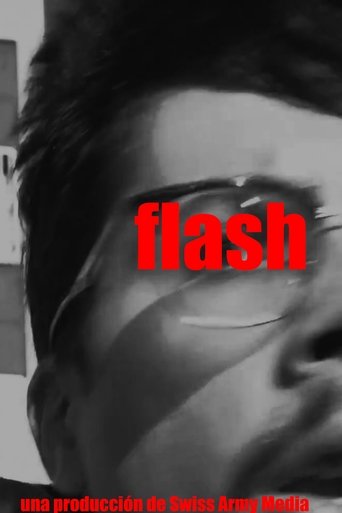 Flash Poster of Flash