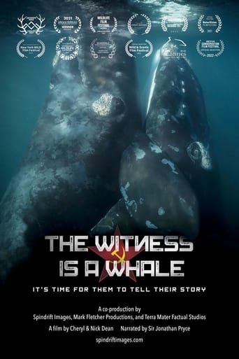 Poster of The Witness is a Whale