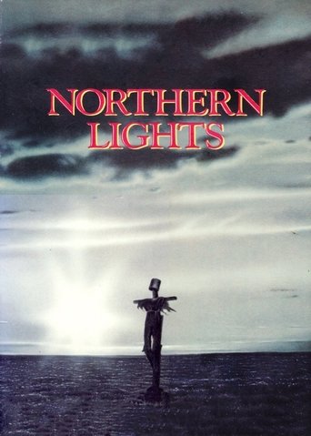 Poster of Northern Lights
