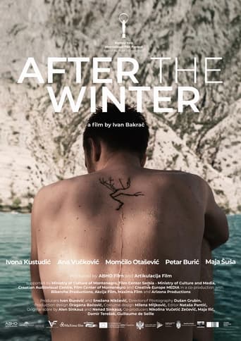 Poster of After the Winter