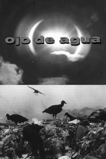 Ojo de Agua Poster of Ojo de Agua