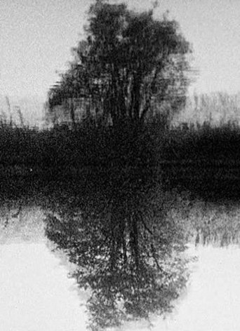 Tree Reflection Poster of Tree Reflection
