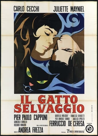 Poster of Il gatto selvaggio